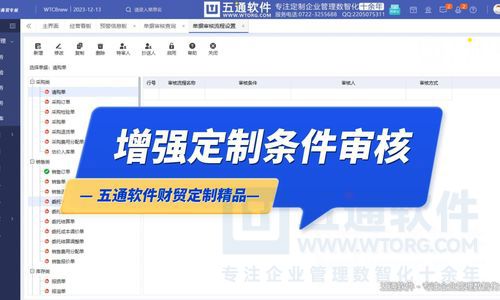 财贸审核流程自定义及数据回写-五通软件定制财贸应用